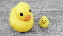 Two Ducks image