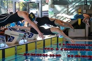 pool lifesaving competitors diving into pool