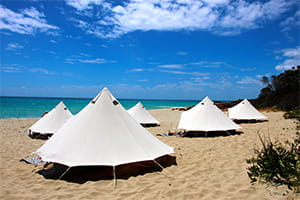 White tents on the beach at Meelup