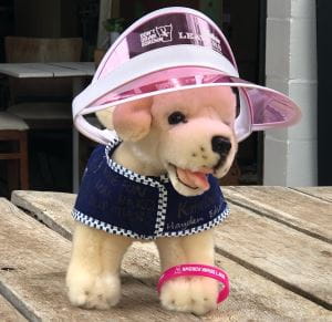 Lucky the police plush mascot dog wearing a Don't Drink and Drown visor and wristband