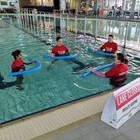 Four swim instructors in the pool