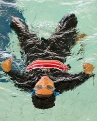 A multicultural woman swimming on her back in the pool