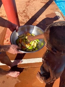 young Aboriginal boy choosing fruit from a bowl