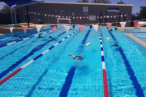 Swim for fruit competition participants swimming laps