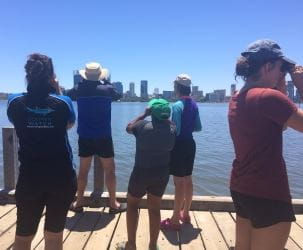 program participants using binoculars to look for dolphins in the river