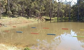 Swimmer Scout obstacle at True Grit event