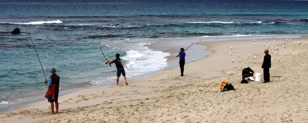 image of people fishing from the beach
