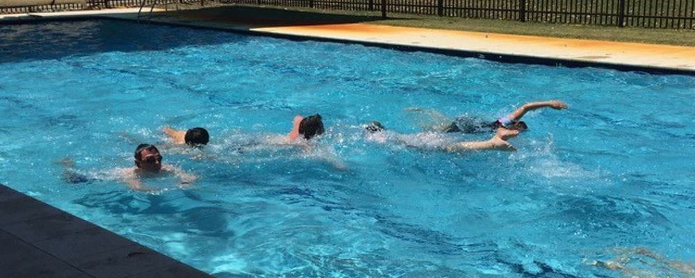 Pool members swimming at Hollywood Primary School