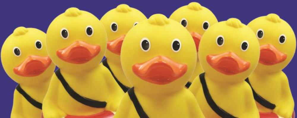 A group of Quackers fundraising ducks ready to collect donations for Royal Life Saving Day 2015