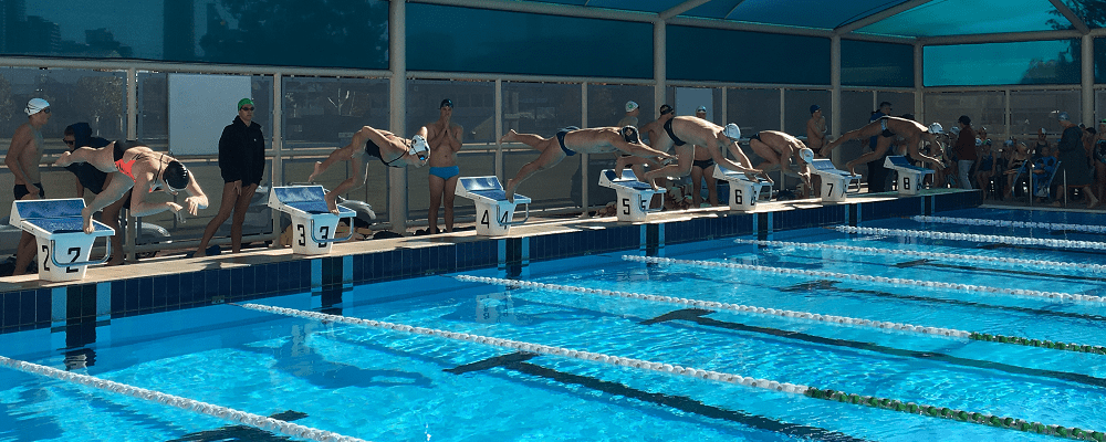 competitors diving into pool at lifesaving event