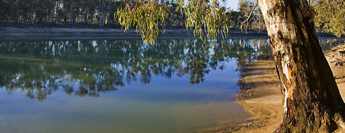 Image of a river with tree on the river bank
