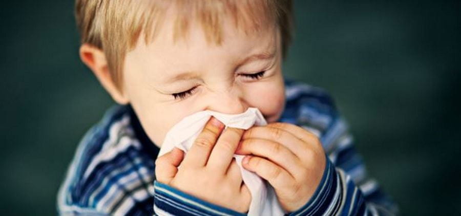 A small boy in a striped blue top holding a tissue to his nose and sneezing