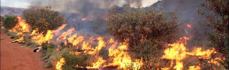 Bushes and shrubs on fire by a red dirt track with smoke in the air